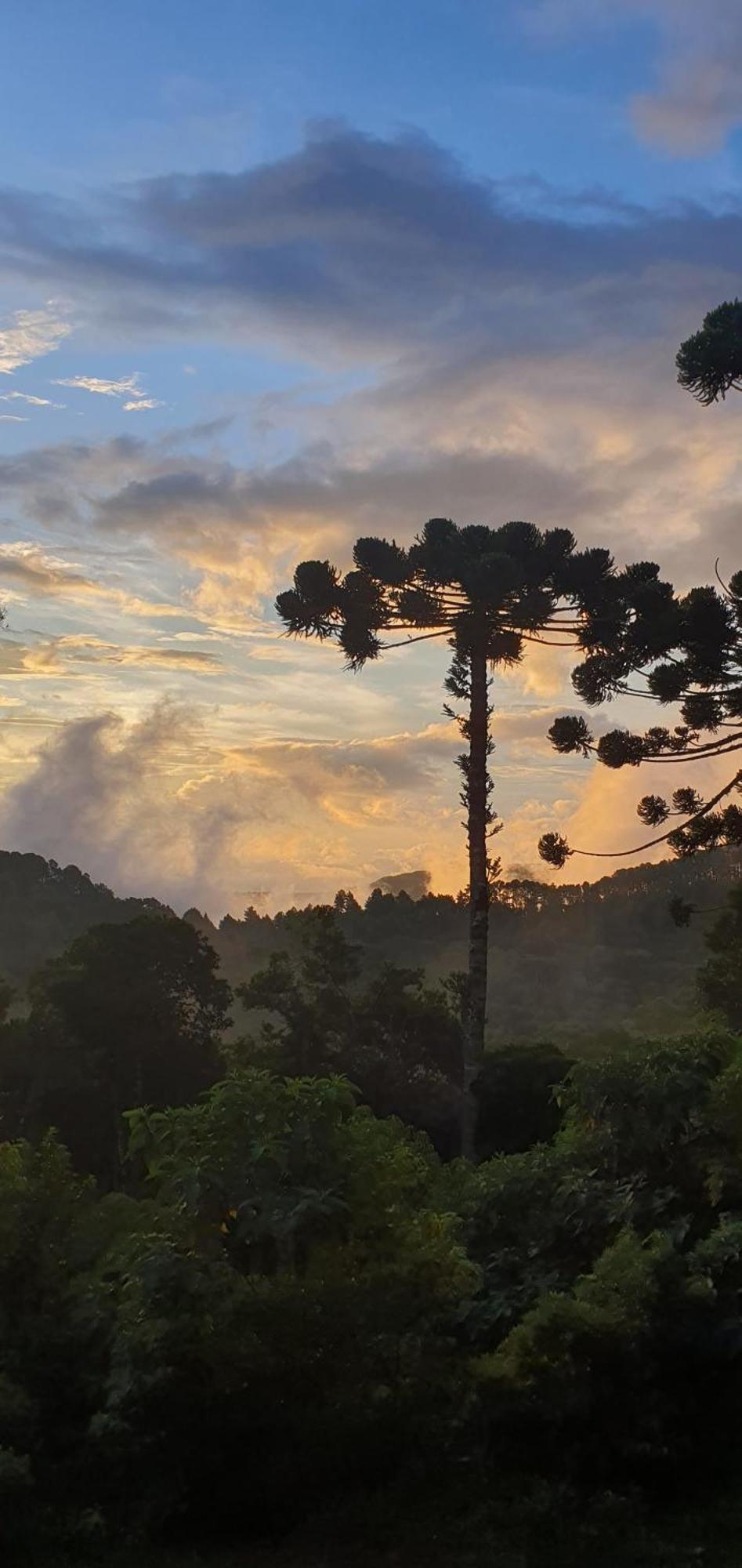 Rural Chácara *