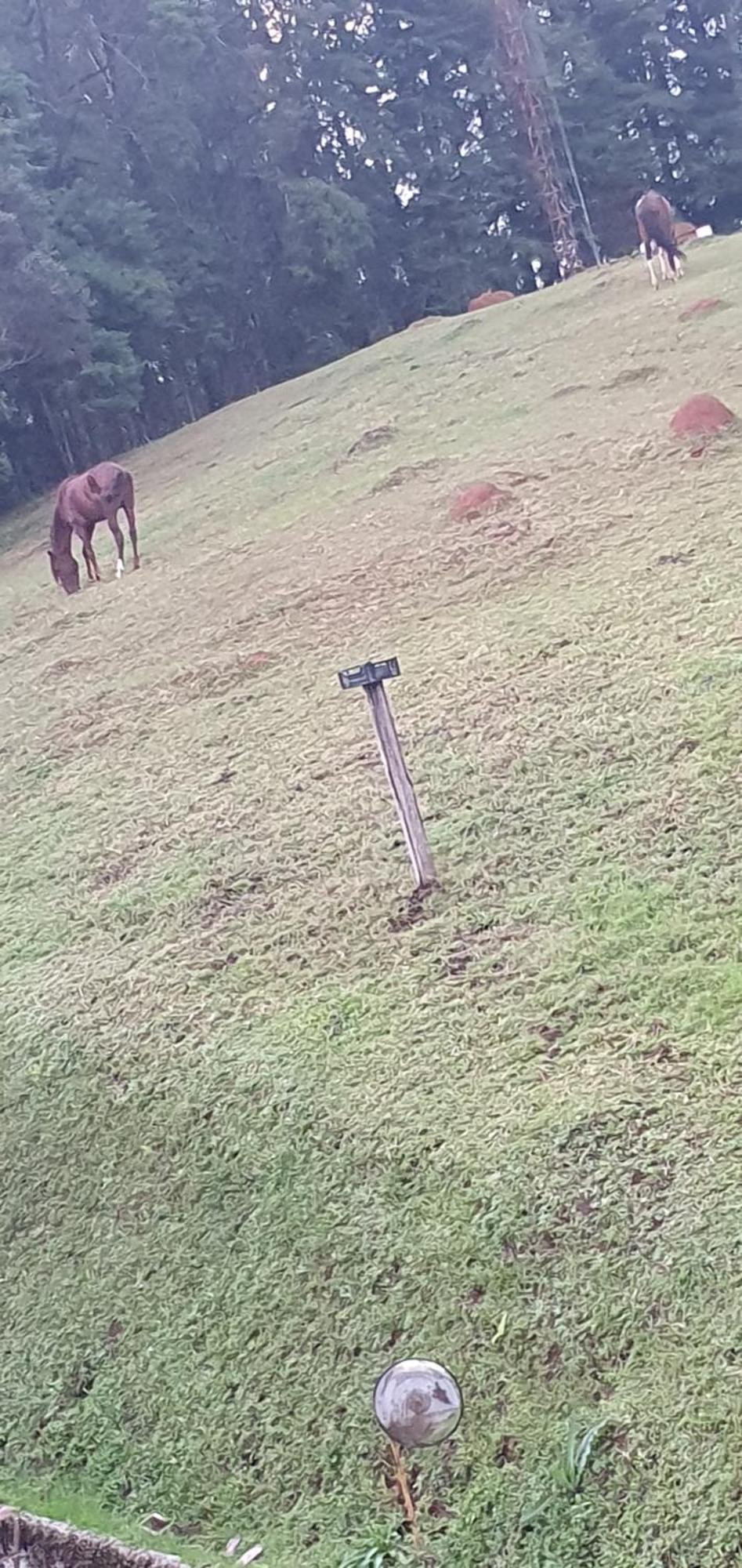Rural Campos do Jordão